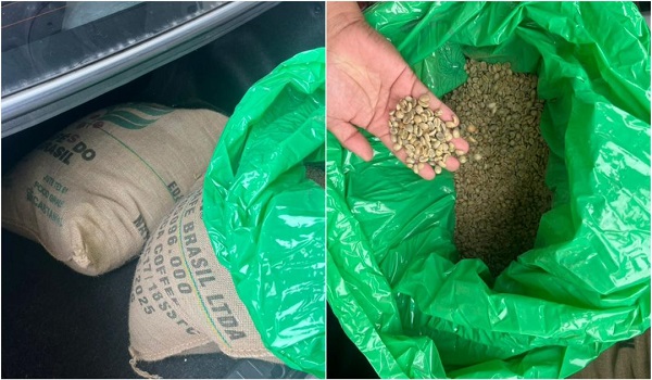 60 kilogram biji kopi disembunyikan di bahagian belakang kenderaan tanpa permit sah./Foto AKPS